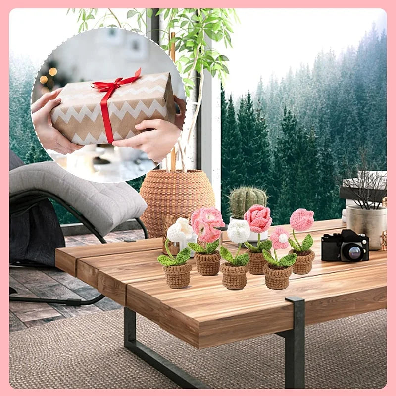 Blumen Strickset für Anfänger – Kreativer Einstieg für Erwachsene
