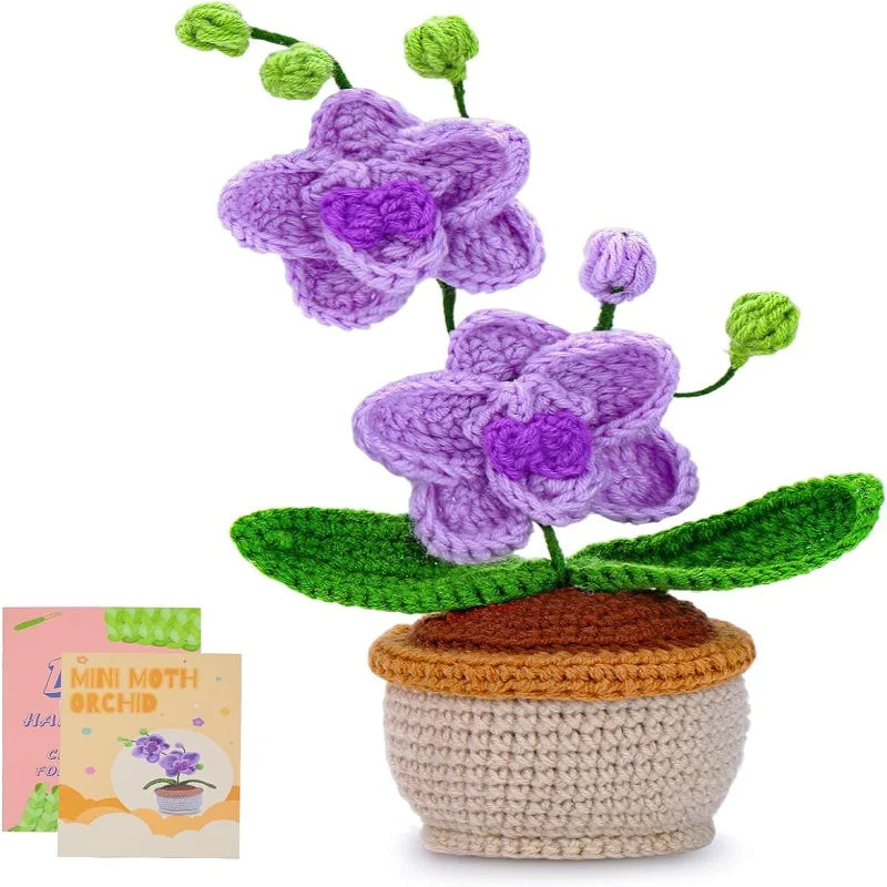 Häkelset „Schmetterlings-Orchidee“ – DIY-Projekt für Anfänger